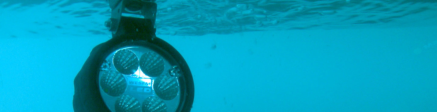 Тестирование